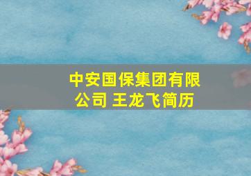 中安国保集团有限公司 王龙飞简历